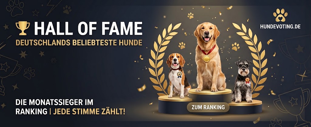 Hall of Fame