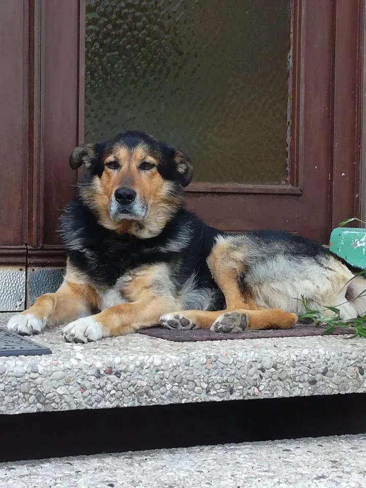Jack