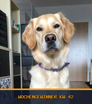 Wochengewinner KW 42 (2026): Herzlichen Glückwunsch an Emma!